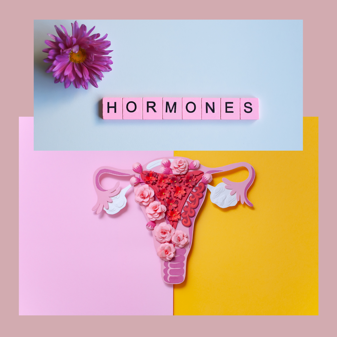 Hormones & Skin: The Missing Link in Your Glow Routine